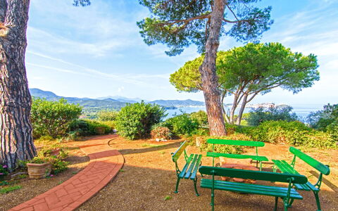 Villa Magazzini: Blue, Shrub, Landscape, Garden, Spring, Landscaping, Botanical Garden, Shade, Park, Walkway