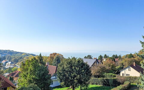 Bonika: Sky, Blue, Daytime, Leaf, Vegetation, Residential Area, Roof, Home, Suburb, Evergreen