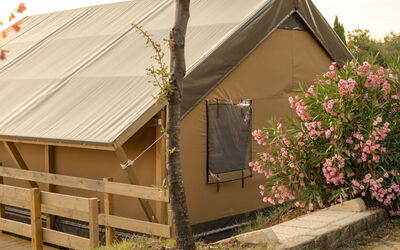 Accommodation:&nbsp;Glampingtent Zeus 500.20