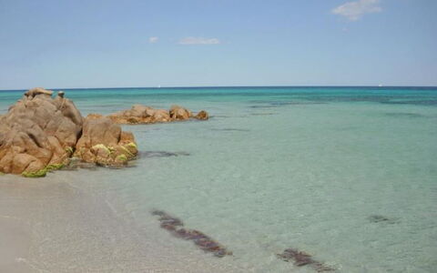 Apartments In Golfo Orosei: Blue, Coast, Sea, Beach, Coastal And Oceanic Landforms, Shore, Ocean, Wind Wave, Sand