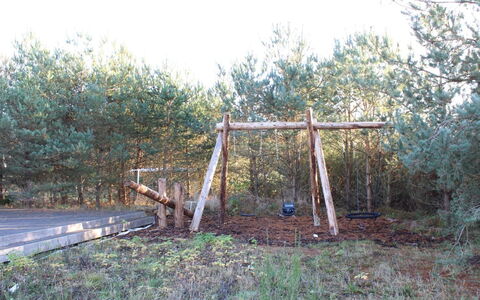 Danske - 6.8Km from the Sea: Natural Environment, Wood, Branch, Woodland, Trunk, Forest, Nature Reserve, Twig, Woody Plant, Soil