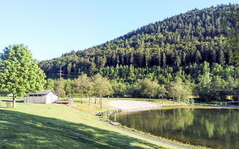 Ruhrtalblick: Tree, Mountainous Landforms, Natural Landscape, Mountain, Hill, Highland, Bank, Land Lot, Rural Area, Hill Station