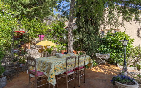 L Angelus: Furniture, Chair, Table, Flowerpot, Outdoor Furniture, Shrub, Garden, Outdoor Table, Backyard