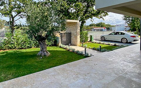 Frani: Shrub, Residential Area, Porch, Garden, Balcony, Shade, Outdoor Furniture, Yard, Chair, Landscaping