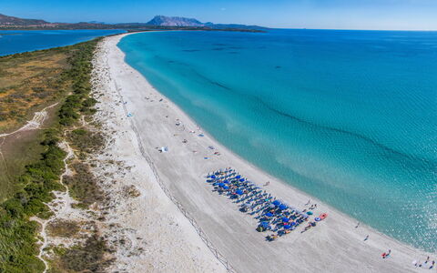 San Teodoro Apartments: Blue, Beach, Coast, Sea, Coastal And Oceanic Landforms, Shore, Ocean, Tourist Attraction, Bay, Caribbean