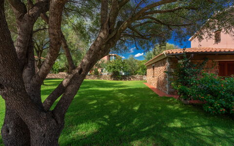 San Teodoro Apartments: Leaf, Tree, Grass, Nature, Branch, Garden, Shrub, Landscape, Lawn