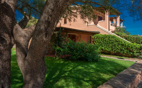 San Teodoro Apartments: Shrub, Garden, Estate, Landscaping, Shade, Hacienda, Eco Hotel, Yard, Villa, Farmhouse