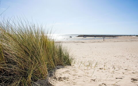 La Bernerie-En Retz 250: Natural Environment, Beach, Coast, Sand, Coastal And Oceanic Landforms, Shore, Sea, Ecoregion, Ocean