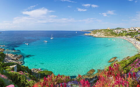 Cristal Blu Apartments In Santa Teresa Gallura: Blue, Water, Body Of Water, Coast, Beach, Coastal And Oceanic Landforms, Sea, Summer, Horizon, Shore