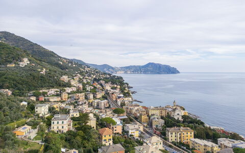 Casa Annalù With Garden, Wifi, Bogliasco: Mountainous Landforms, Coast, Residential Area, City, Coastal And Oceanic Landforms, Mountain, Hill, Sea, Human Settlement, Terrain