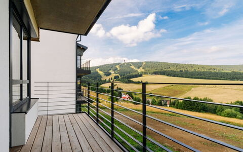 Loucna Pod Klínovcem 176: Wood, Handrail, Balcony, Metal, Fence, Hardwood, Wood Stain, Porch, Wood Flooring, Baluster
