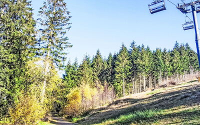 Hahnenklee 604