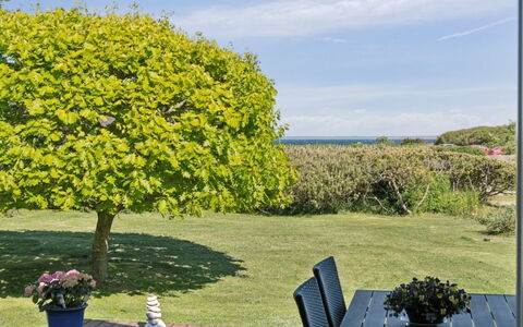 Sukie - 100M from the Sea: Vegetation, Shrub, Spring, Cottage, Garden, Shade, Backyard, Yard, Chair