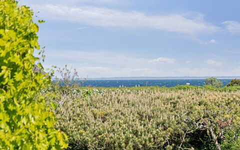 Sukie - 100M from the Sea: Vegetation, Shrub, Spring, Cottage, Garden, Shade, Backyard, Yard, Chair