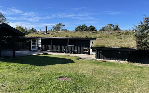 Baldo - 800M from the Sea: Estate, Shade, Driveway, Farmhouse
