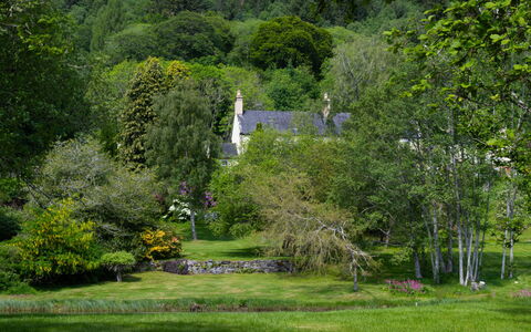 The Romantic Bothy: Tree, Leaf, Grass, Nature, Natural Environment, Vegetation, Branch, Shrub, Natural Landscape