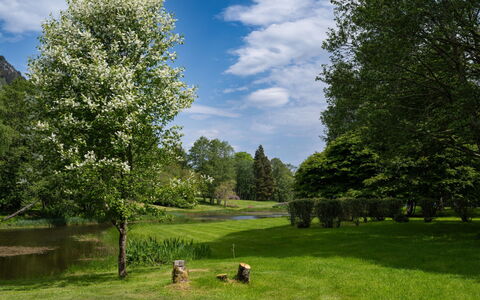 The Romantic Bothy: Branch, Tree, Leaf, Nature, Vegetation, Shrub, Land Lot, Spring, Garden, Groundcover