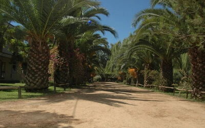Camping Iscrixedda
