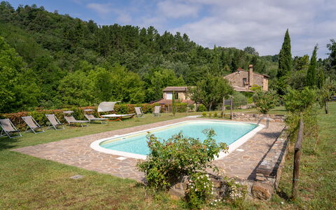 Montaione Country House Amarrante, Pool, Ac: Shrub, Rural Area, Estate, Farmhouse, Garden, Cottage, Hacienda, Eco Hotel, Landscaping