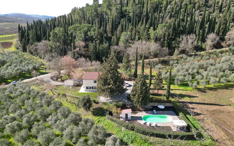 Il Cipresso: Shrub, Landscape, Rural Area, Plant Community, Land Lot, Estate, Hill Station, Forest, Cottage, Plantation