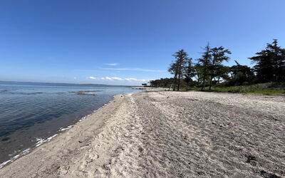Hjalmine - 225M from the Sea