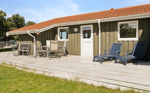 Suometar - 90M from the Sea: Grass, Grassland, Land Lot, Cottage, Rural Area, Meadow, Garden Buildings, Garden, Shed