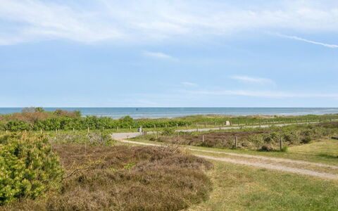 Suometar - 90M from the Sea: Grass, Grassland, Land Lot, Cottage, Rural Area, Meadow, Garden Buildings, Garden, Shed