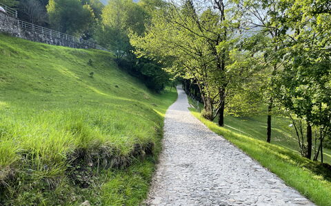 Miralago: Green, Grass, Natural Landscape, Landscape, Trail, Walkway, Groundcover, Thoroughfare, Mountain Pass, Landscaping