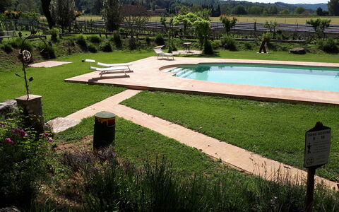 Appartamento Vele, Wifi, Near Perugia: Garden, Swimming Pool, Outdoor Furniture, Lawn, Shade, Backyard, Landscaping, Leisure, Park, Water Feature