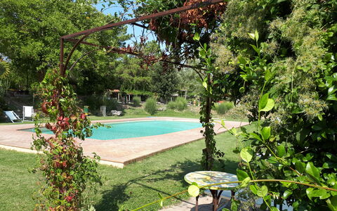 Appartamento Poggiolo, Wifi, Near Perugia: Shrub, Garden, Shade, Spring, Backyard, Yard, Lawn, Landscaping, Flowerpot