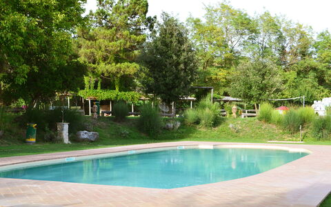 Appartamento Scuderia Del Borgo, Wifi, Perugia: Swimming Pool, Tree, Resort, Shade, Garden, Outdoor Furniture, Leisure, Backyard, Landscaping, Water Feature