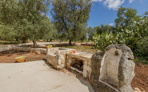 Trullo Quattro Carrini: Tree, Trunk, Woody Plant, Garden, Soil, Landscaping, Shade