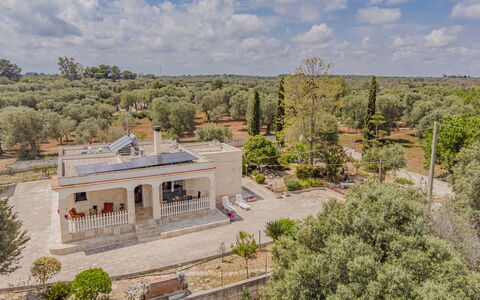 Villa Vera: Tree, Estate, Home, Hacienda, Landscaping, Mansion, Villa, Driveway, Farmhouse