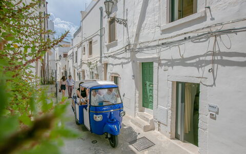Casa Tosca: Alley