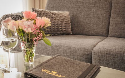 Saas-Fee 1182: Textile, Couch, Furniture, Living Room, Throw Pillow, Cushion, Pillow, Linens, Houseplant
