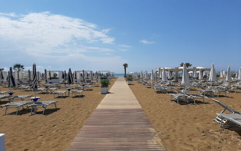 Silea Apartments, Pool, Garden, Treviso: Horizon, Beach, Sea, Ocean, Coast, Shade, Shore, Outdoor Furniture, Sand, Tropics