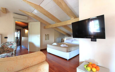 Accommodation:&nbsp;Terrace Apartment