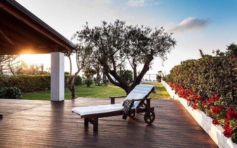 Cala Marina: Shade, Garden, Lawn, Landscaping, Yard, Outdoor Furniture, Outdoor Structure, Eco Hotel, Backyard, Villa