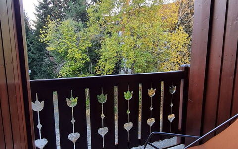 Alpina Lodge: Wood, Hardwood, Wood Stain, Daylighting, Balcony, Fence