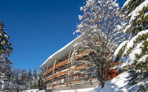 V du Bachat Arolles a: Winter, Freezing, Snow, Balcony, Larch, Pine Family