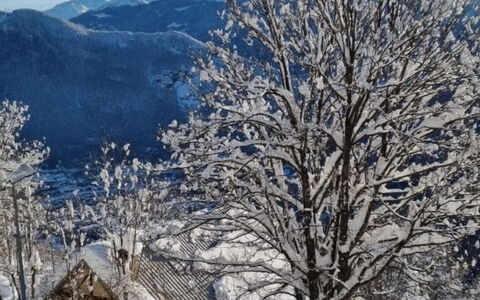 T du Morel a: Snow, Branch, Winter, Tree, Twig, Freezing, Hill Station, Mountain Range, Frost, Slope