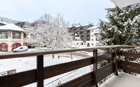 Praz des Esserts: Snow, Winter, Freezing, Home, Twig, Blizzard, Balcony, Ice