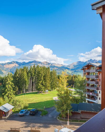 Morillon 646