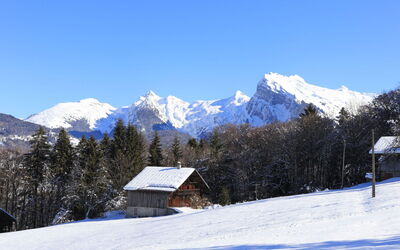Les Sitelles