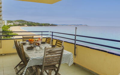 Accommodation:&nbsp;Los Laureles Blancos 211.2