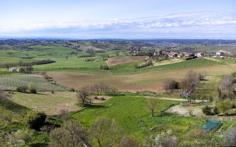 Relais San Desiderio: Grass, Grassland, Natural Landscape, Plain, Ecoregion, Horizon, Landscape, Rural Area, Field, Land Lot