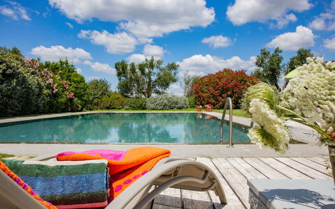 Villa Flaminia: Water, Swimming Pool, Outdoor Furniture, Shrub, Garden, Furniture, Chair, Resort, Leisure, Eco Hotel