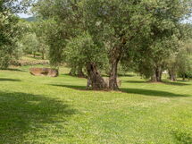 Villa Domus Papi