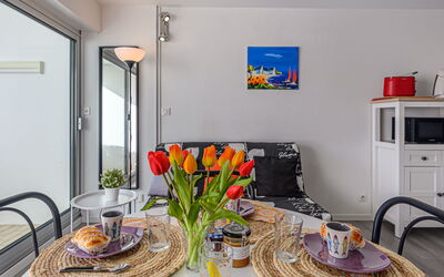 Accommodation:&nbsp;Piscine et Plage 250.1