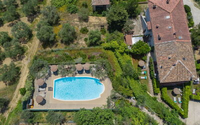 Podere Oliveta